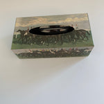 Decorative tissue box stainless steel 5 sided decoupage racehorse